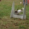 foire-haricots 2011-09-17et18